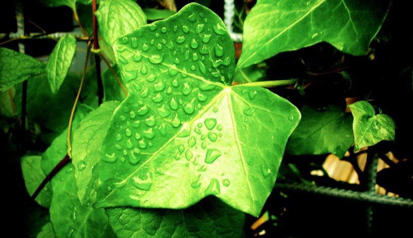 Hotel U Kata Kutná Hora